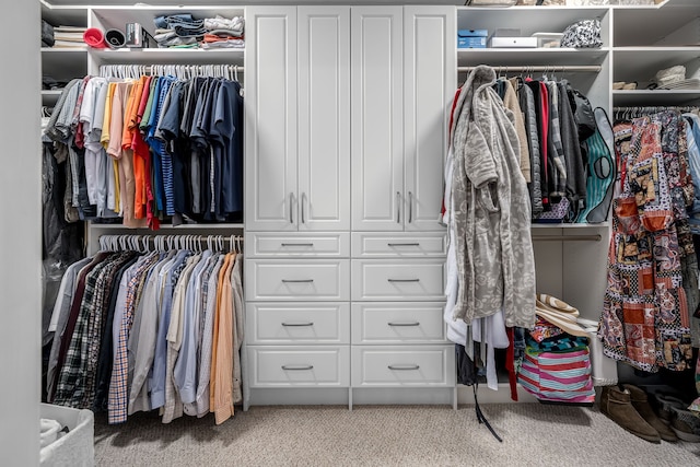 spacious closet featuring light carpet