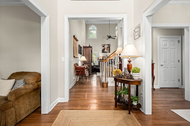 corridor with dark hardwood / wood-style floors and ornamental molding