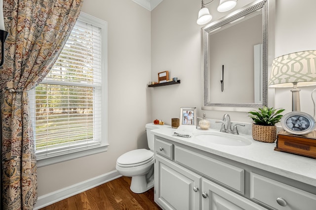 bathroom featuring toilet, vanity, and wood-type flooring