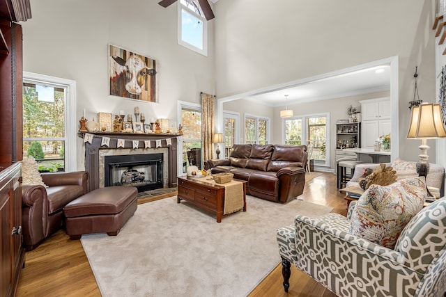 living room with a wealth of natural light, a towering ceiling, and light hardwood / wood-style floors