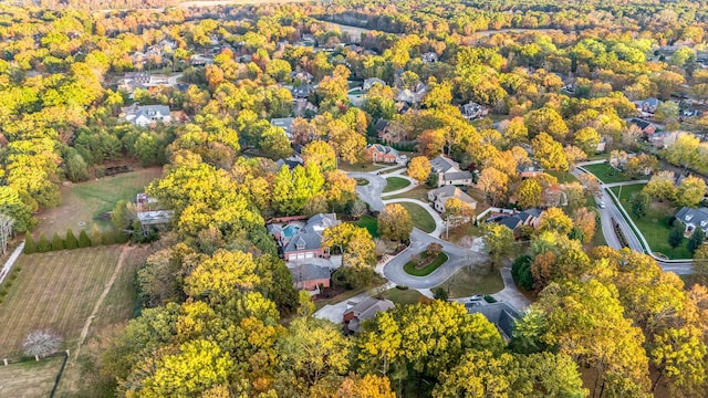 bird's eye view