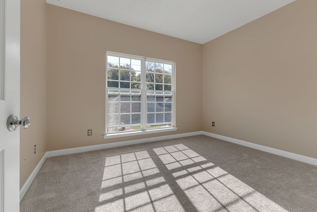 spare room with carpet flooring