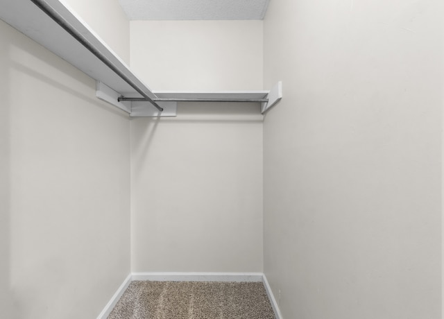 spacious closet featuring carpet flooring