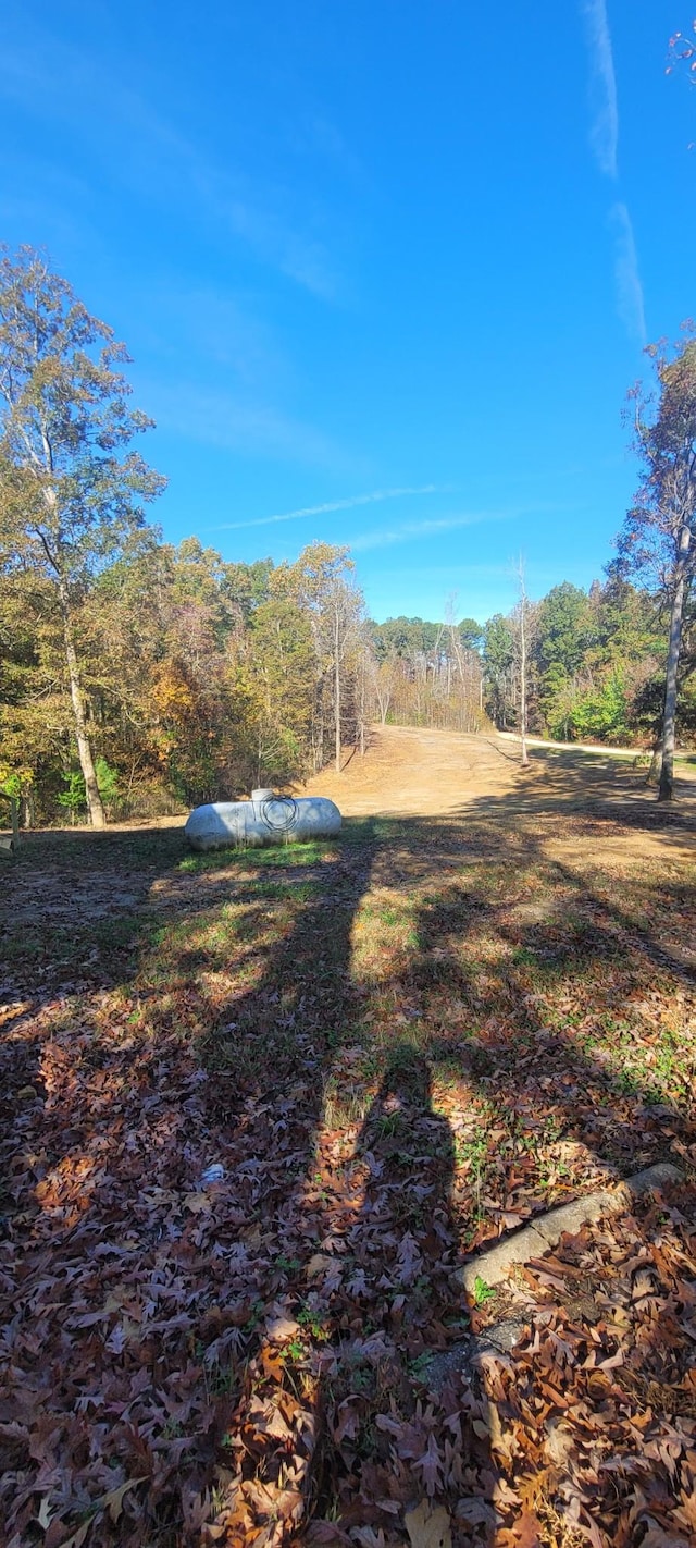 180 Mount View Estates Ln, Holladay, TN 38341 - view of yard
