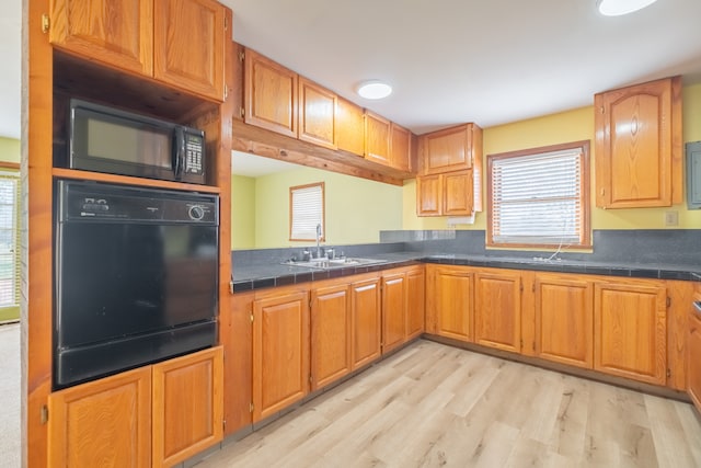 kitchen featuring light wood-type flooring, sink, and black appliances