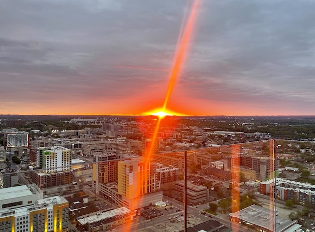 property's view of city