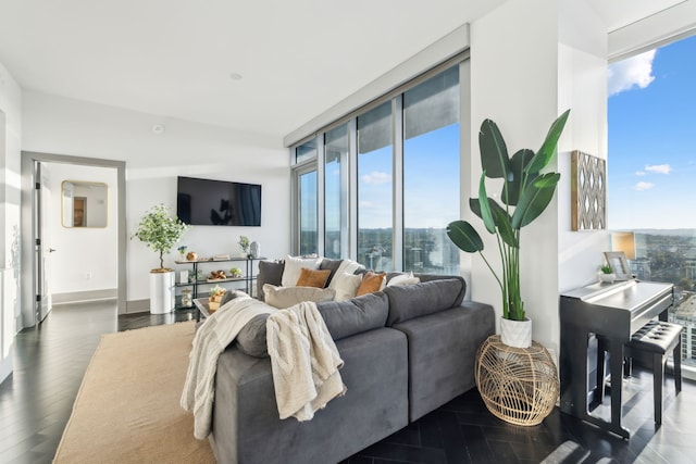 living room featuring dark hardwood / wood-style flooring