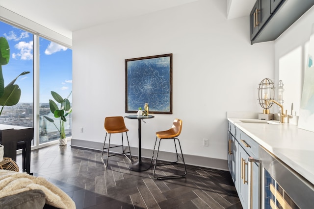 interior space featuring dark parquet floors and sink