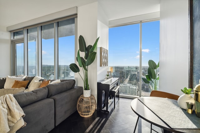 living room featuring a wealth of natural light