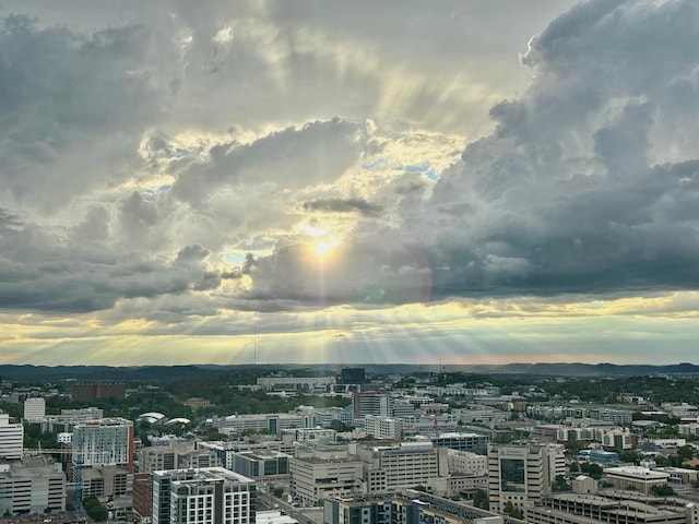 1616 W End Ave Unit 2911, Nashville, TN 37203 - city view