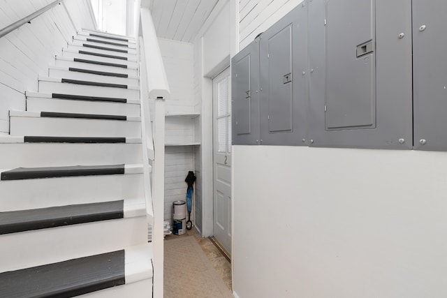 staircase featuring wood walls