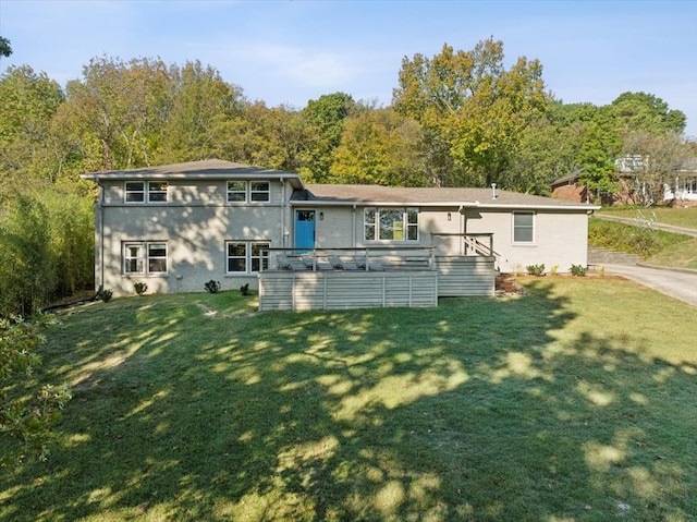 back of house featuring a yard