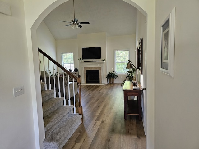 stairway with lofted ceiling, hardwood / wood-style flooring, ceiling fan, and plenty of natural light