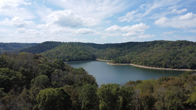 340 Hope Cv, Smithville TN, 37166 land for sale