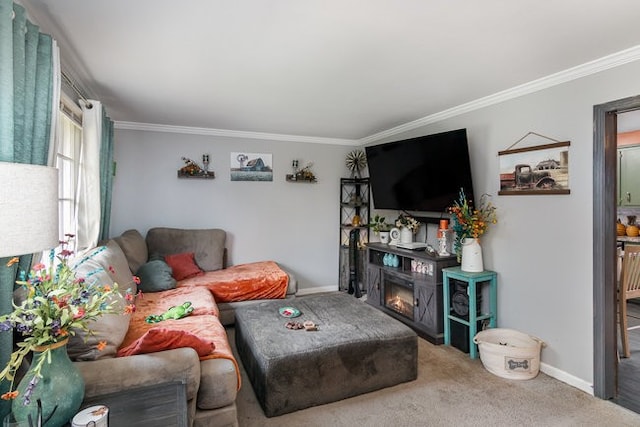 living room featuring ornamental molding and carpet floors