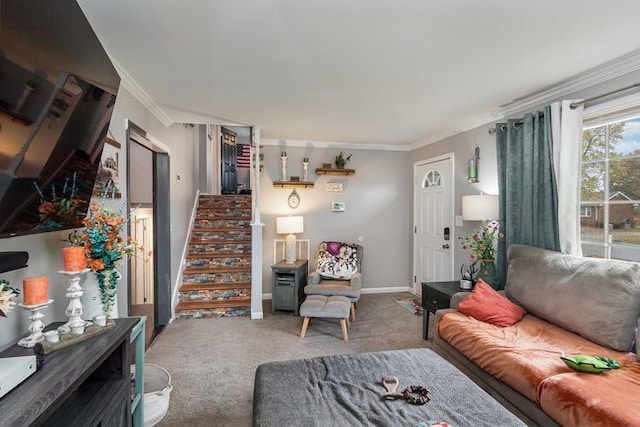 living room featuring ornamental molding and carpet floors