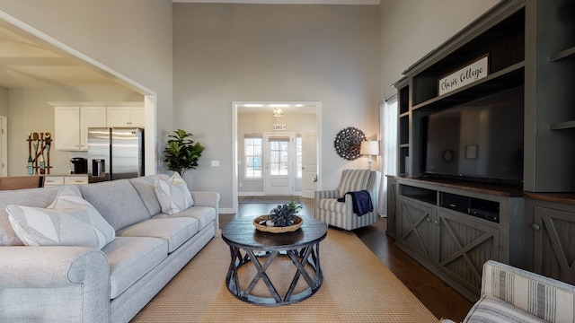 living room with a towering ceiling and hardwood / wood-style floors