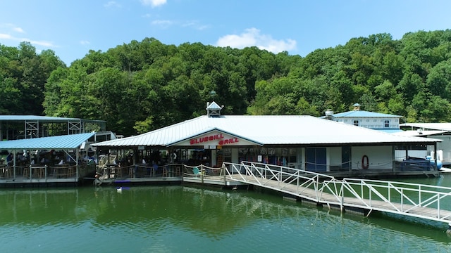 dock area with a water view