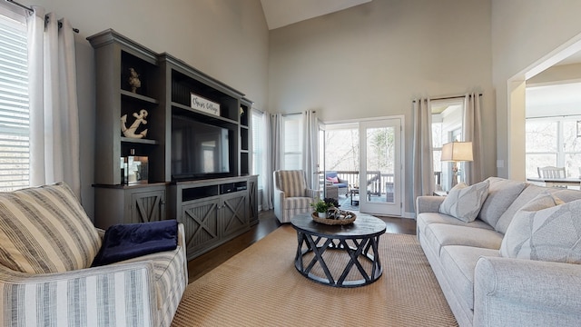 living room with hardwood / wood-style floors, plenty of natural light, and high vaulted ceiling