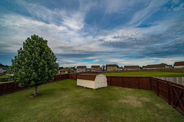 view of yard with a storage unit