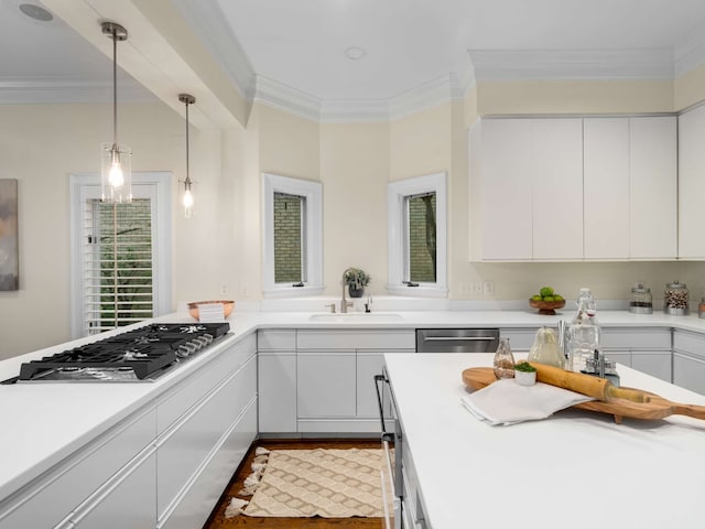 kitchen featuring ornamental molding, stainless steel appliances, dark hardwood / wood-style floors, sink, and white cabinets