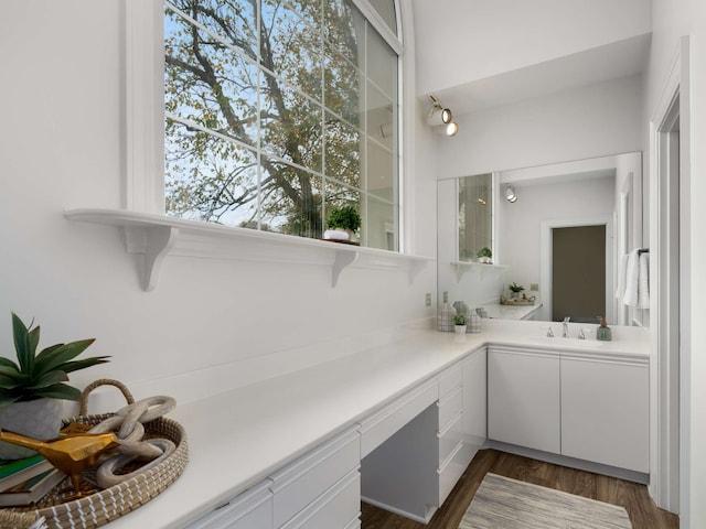 bathroom with vanity and hardwood / wood-style flooring