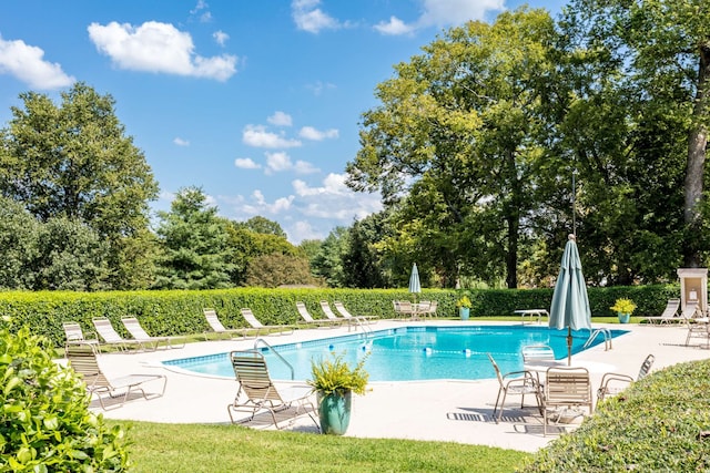 view of pool with a patio