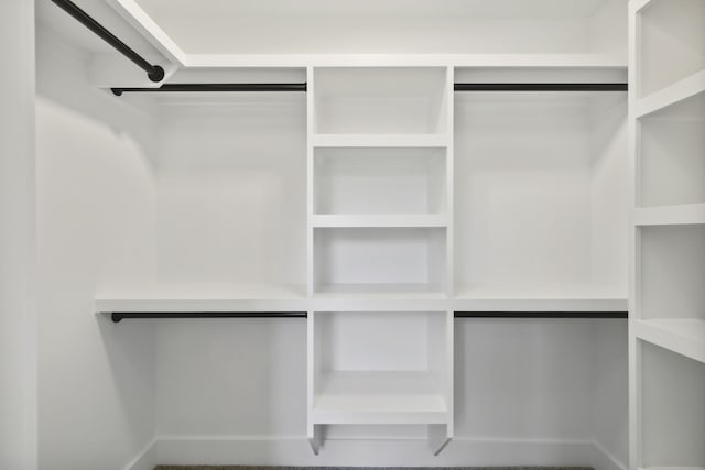 spacious closet featuring carpet flooring