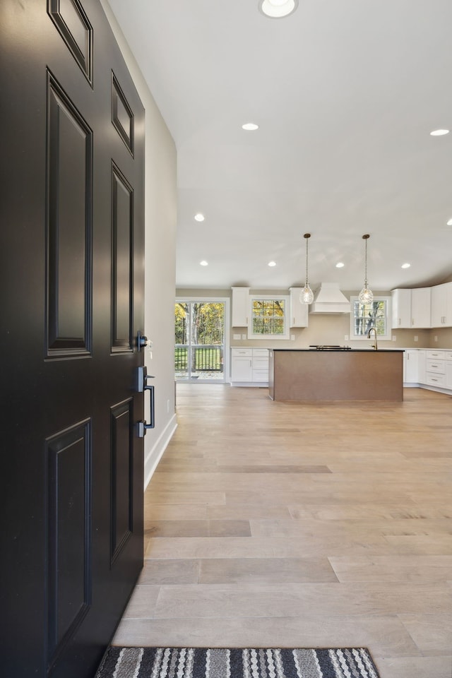 entrance foyer with light hardwood / wood-style flooring