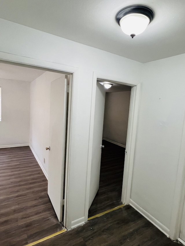 hallway featuring dark wood-type flooring