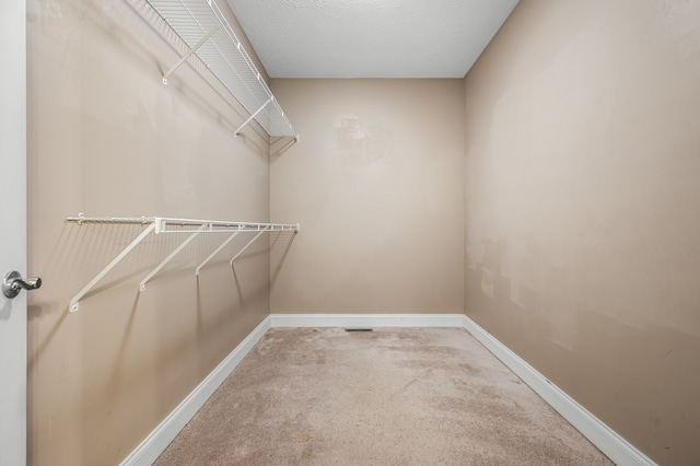 walk in closet with carpet flooring