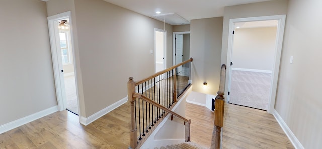 stairway with hardwood / wood-style floors