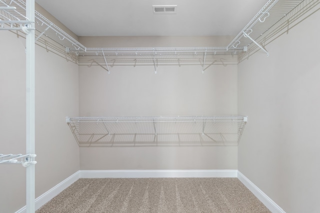 spacious closet with carpet flooring