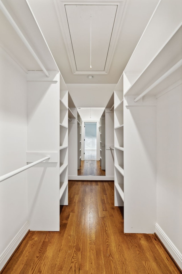 spacious closet with wood-type flooring