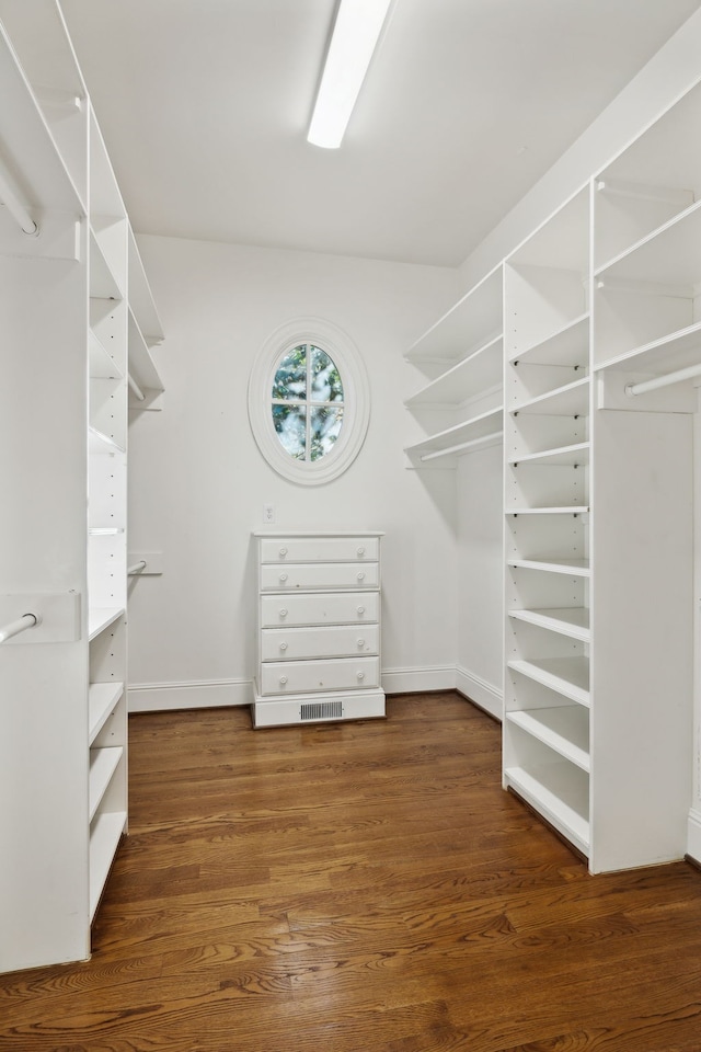 spacious closet featuring dark hardwood / wood-style flooring