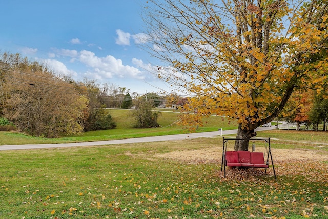 view of community with a lawn