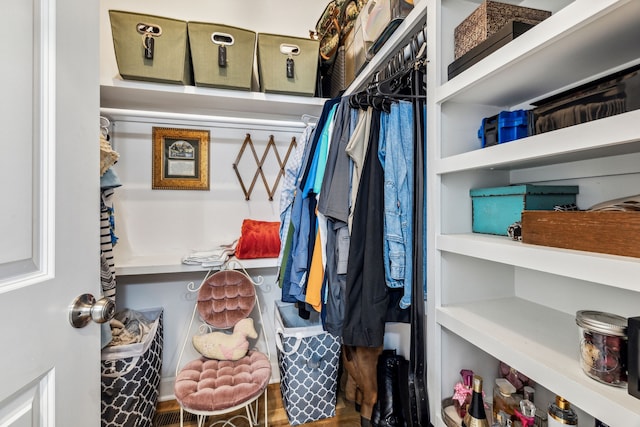 view of spacious closet