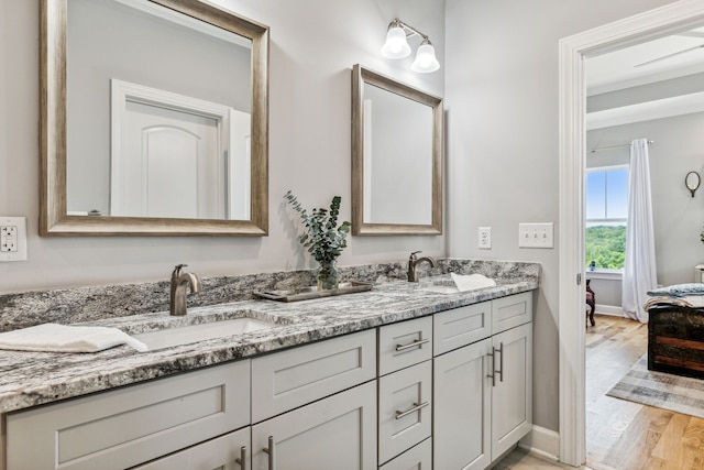 bathroom with hardwood / wood-style floors and vanity