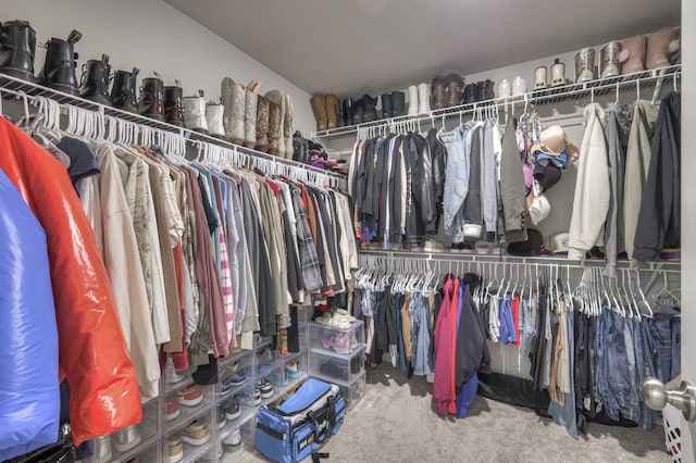 walk in closet featuring carpet floors