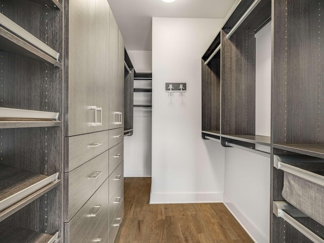 spacious closet with dark wood finished floors