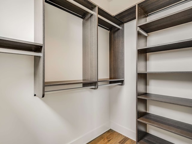 spacious closet featuring light hardwood / wood-style flooring