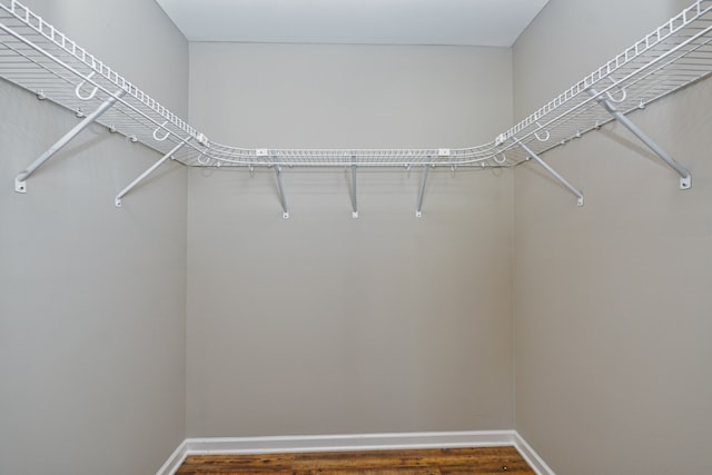 spacious closet featuring dark hardwood / wood-style flooring