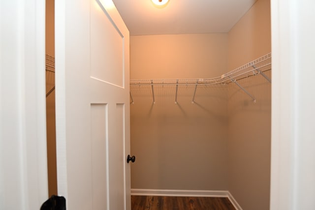 walk in closet with dark hardwood / wood-style flooring