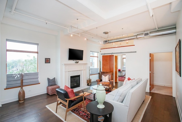 living room featuring dark wood-type flooring and a high end fireplace