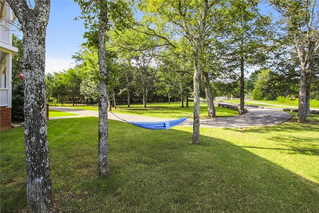 view of home's community featuring a lawn