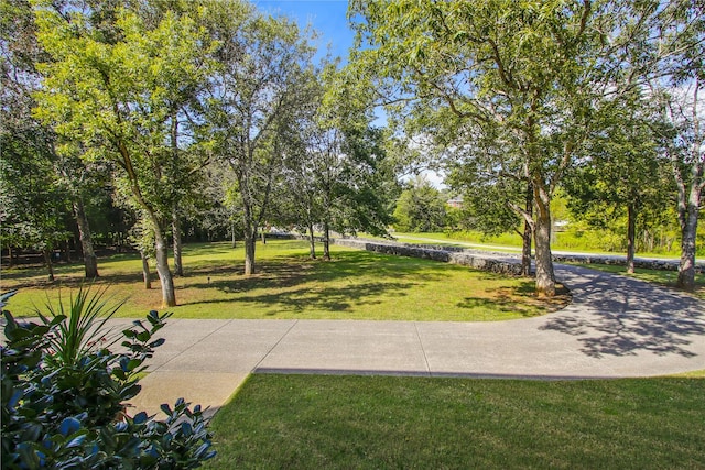 view of property's community featuring a lawn