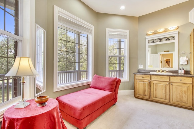 living area featuring a wealth of natural light, sink, and light colored carpet