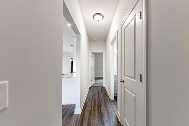 corridor featuring dark hardwood / wood-style flooring