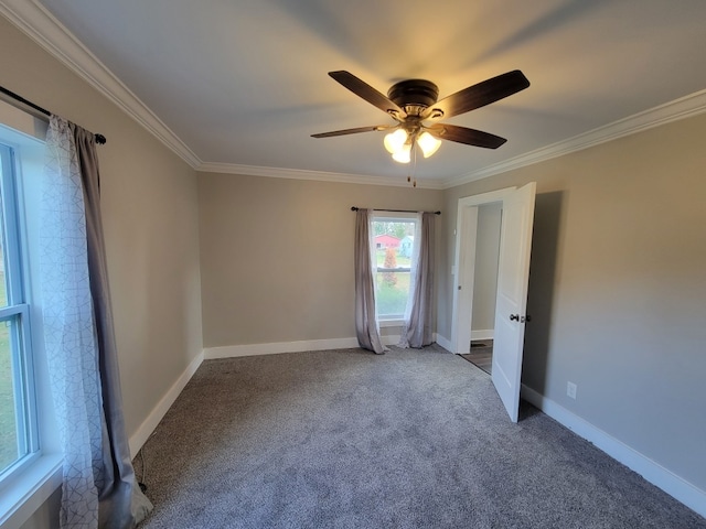 empty room featuring ceiling fan, carpet flooring, and ornamental molding