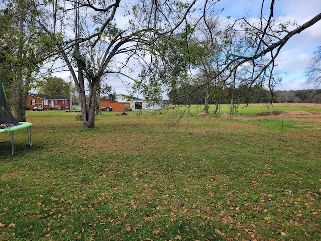 view of yard with a trampoline